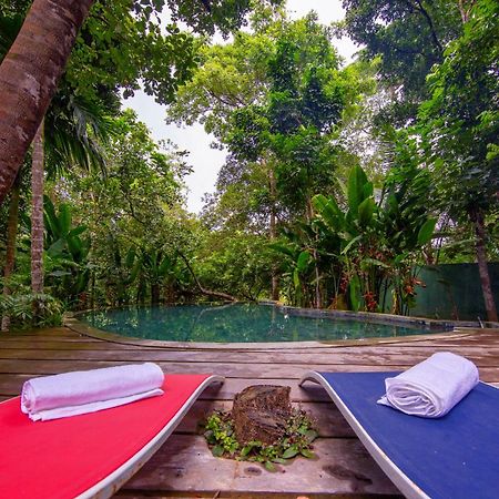 Wild Nest Villa Unawatuna Eksteriør billede